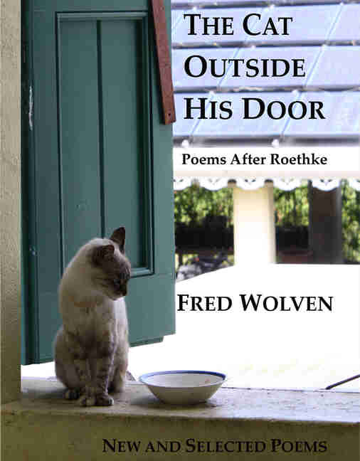 cover of Cat Ouside His Door Falls