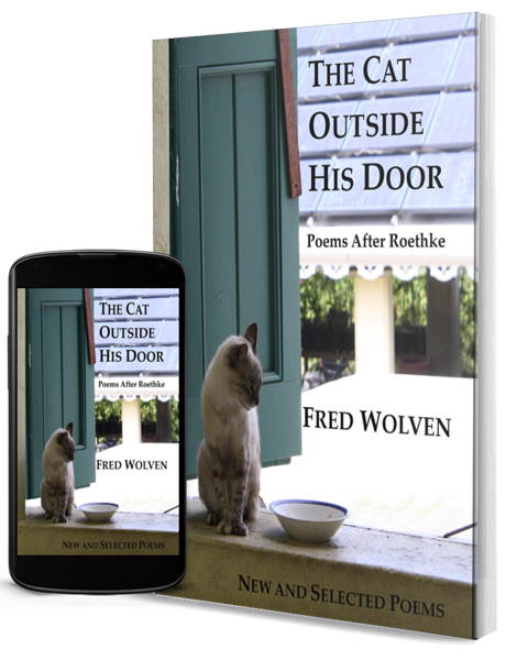 cover of Cat Ouside His Door