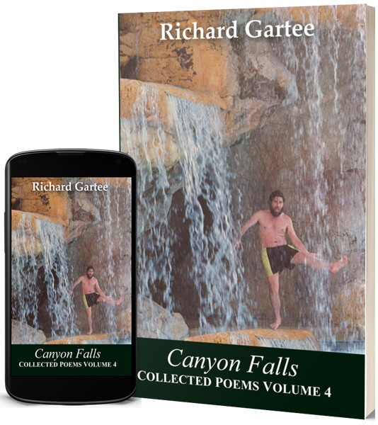 cover of Canyon Falls